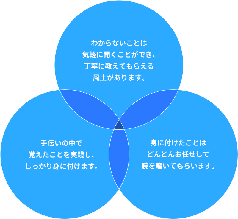 研修制度